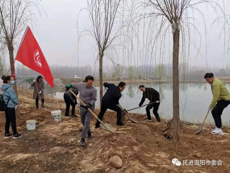 3.12春日植树添新绿--民进洛阳市委会开展义务植树活动3.png