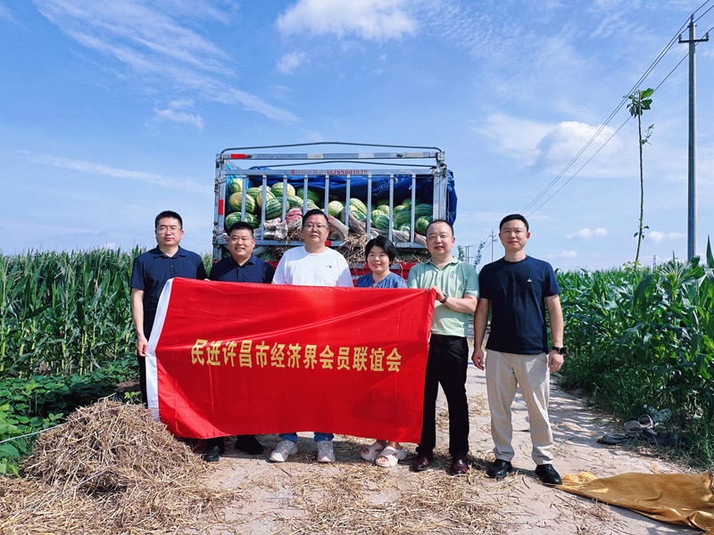微信图片_20260803153212_595_293.jpg